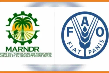 améliorer la production agricole et animale la fao et le marndr distribuent des semences alimentaires