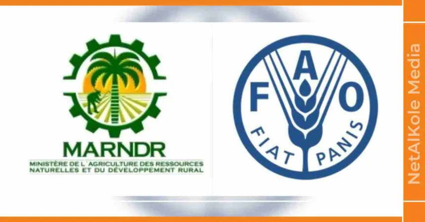 améliorer la production agricole et animale la fao et le marndr distribuent des semences alimentaires
