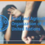 Élimination de la violence à l’égard des femmes et des filles les hommes, un atout majeur selon fao