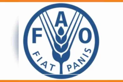 haïti la fao et ses partenaires veulent améliorer la qualité des aliments pour la population