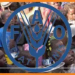 la fao s’engage à lutte contre la faim et le gaspillage alimentaire en haïti