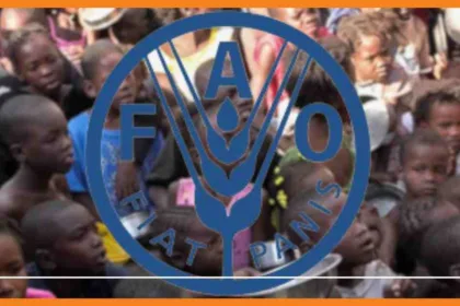la fao s’engage à lutte contre la faim et le gaspillage alimentaire en haïti