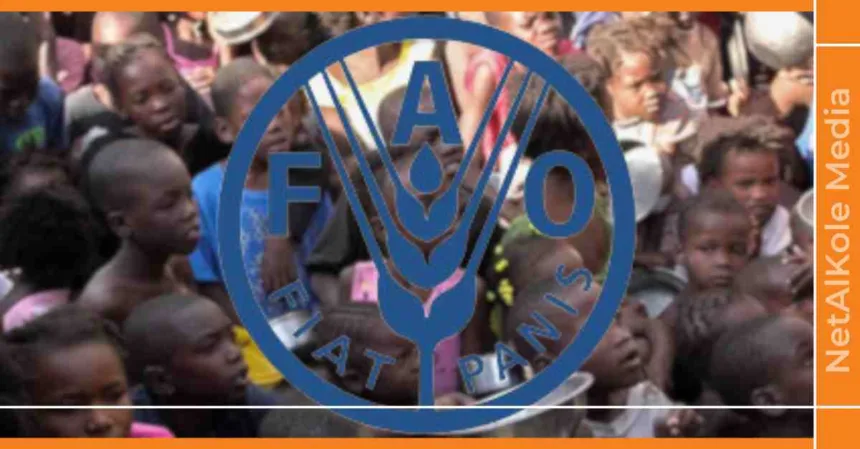 la fao s’engage à lutte contre la faim et le gaspillage alimentaire en haïti