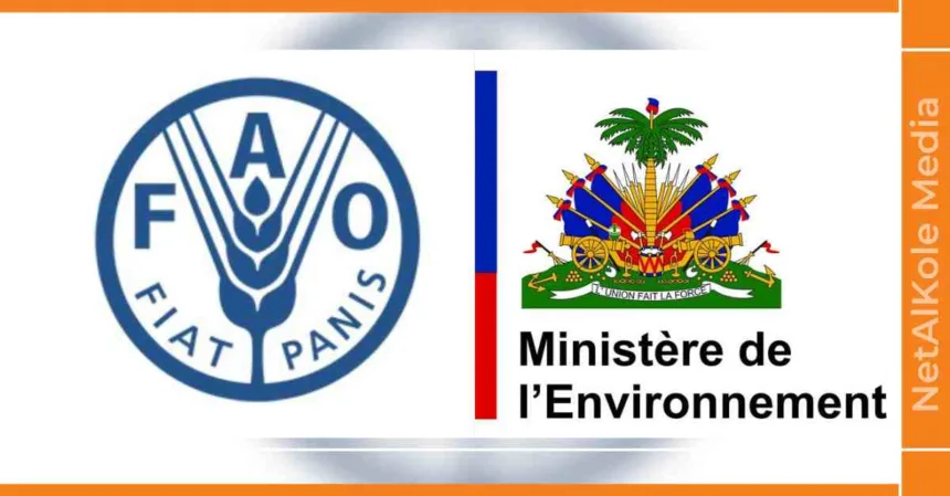 vers le renforcement du partenariat entre la fao et le ministère de l'environnement