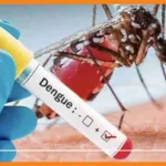la dengue frappe durement haïti avec 729 cas positifs