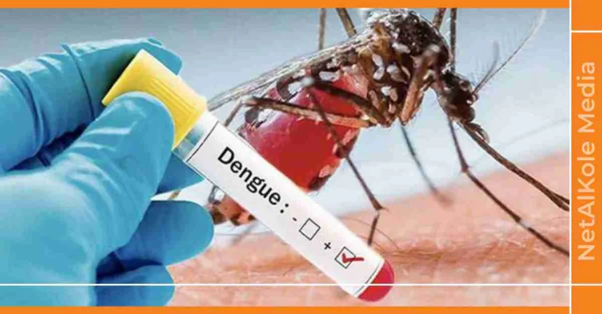 la dengue frappe durement haïti avec 729 cas positifs