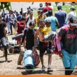 plus de 500 000 réfugiés et migrants ont tenté de traverser la jungle de darien