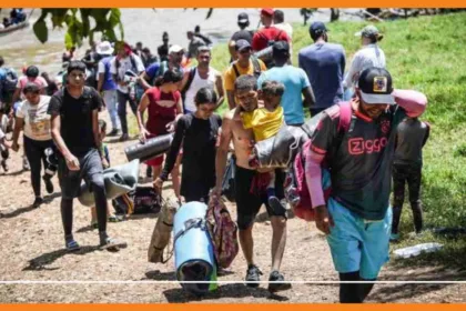plus de 500 000 réfugiés et migrants ont tenté de traverser la jungle de darien