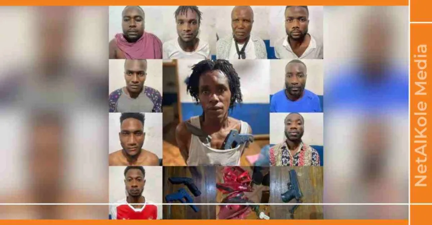 une dizaine de présumés bandits arrêtés à marigot, des objets de guerre saisis par la police du sud est